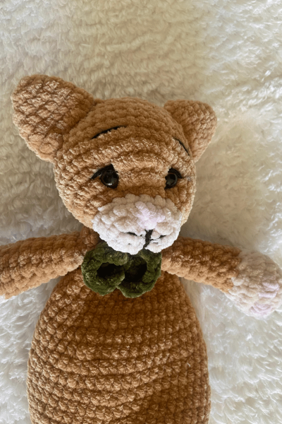 Kedi Amigurumi Uyku Arkadaşı | Organik Bebek Oyuncağı